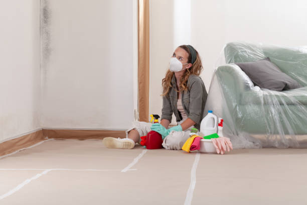 Reliable Black Mold Remediation contractor in Buffalo Grove, IL by Car Mold Remediation